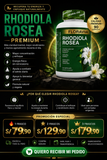 🌿 RHODIOLA ROSEA PREMIUM